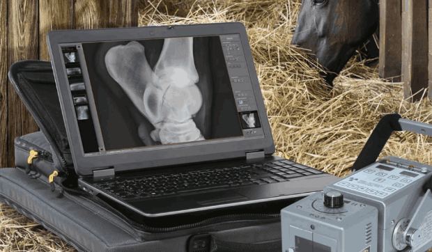 Equipos RX Veterinarios